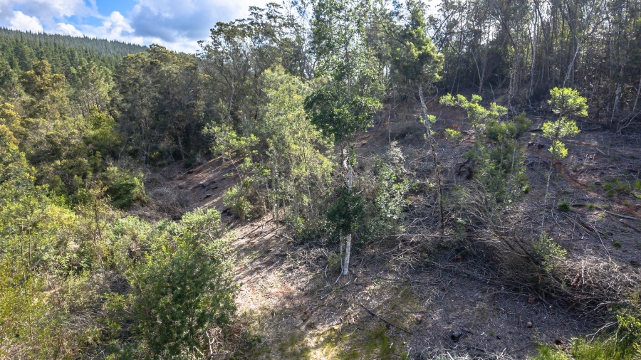 Commercial Property for Sale in Sedgefield Rural Western Cape